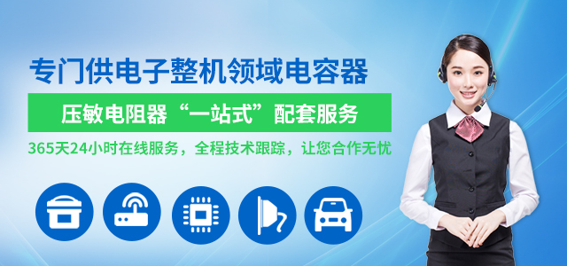 專業(yè)提供電子整機領域電容器